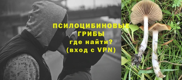 соль ск Белокуриха