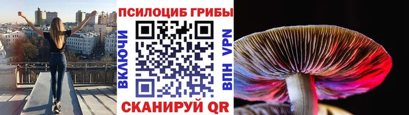 Галлюциногенные грибы GOLDEN TEACHER Шадринск