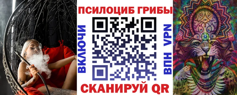 Купить  Шадринск  Галлюциногенные грибы мицелий 